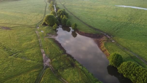 Beautiful Summer Morning Pond — Vídeos de Stock