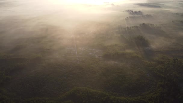 Prachtige Ochtend Boven Het Bos — Stockvideo