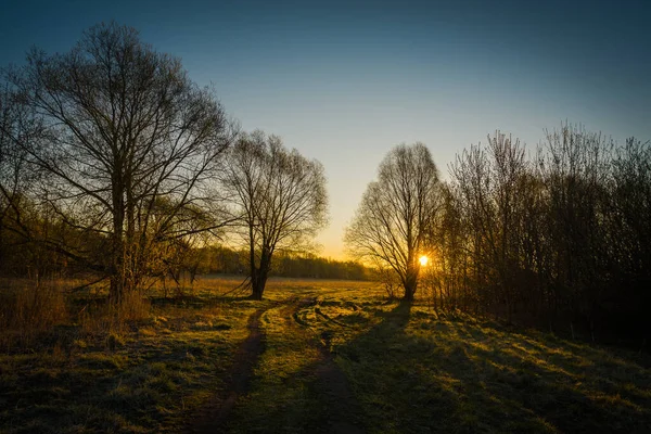 Een Heerlijke Zomerochtend Buiten Stad — Stockfoto