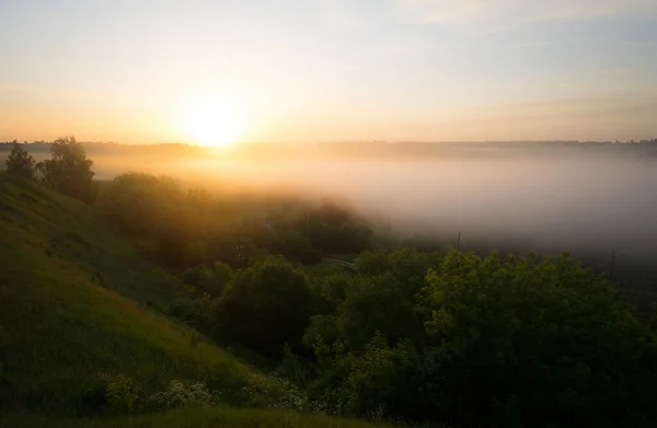 Ein Wunderbarer Sommermorgen Außerhalb Der Stadt — Stockfoto