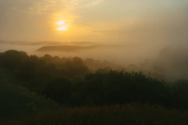 Ein Wunderbarer Sommermorgen Außerhalb Der Stadt — Stockfoto