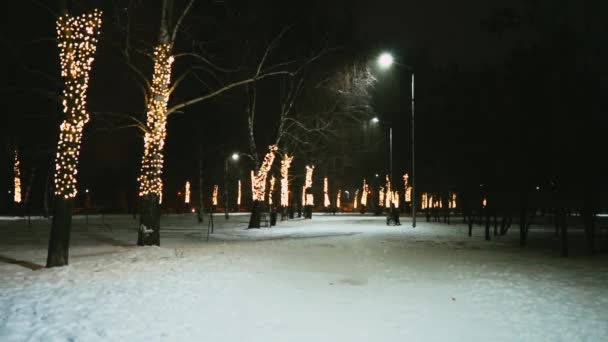 Ijzige Winternacht Het Park — Stockvideo