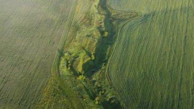 Şehir dışında harika bir yaz sabahı