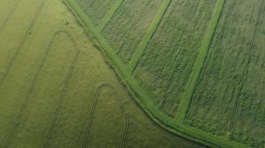 Şehir dışında harika bir yaz sabahı