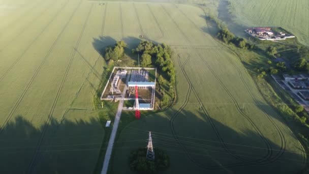 Een Heerlijke Zomerochtend Buiten Stad — Stockvideo