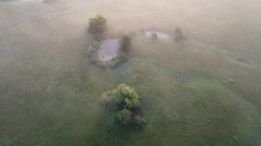 Misty summer morning over the river