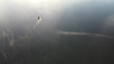 Misty summer morning over the river