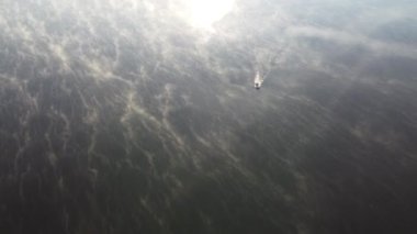 Misty summer morning over the river