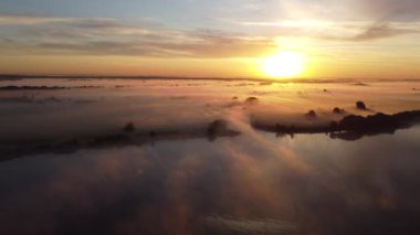 Misty summer morning over the river