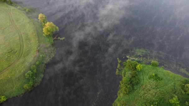 Nehir Manzarasında Sisli Bir Sabah — Stok video