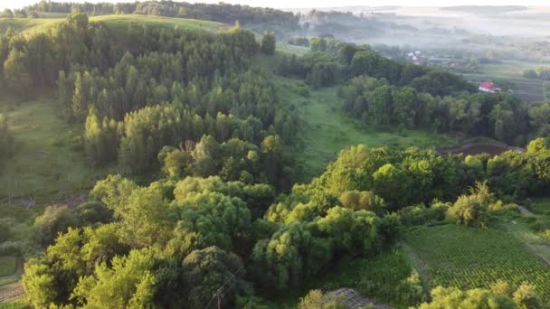 Herrlicher Sommermorgen Vor Der Stadt Von Oben — Stockvideo