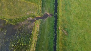 Şehir manzarasının dışında güzel bir yaz sabahı