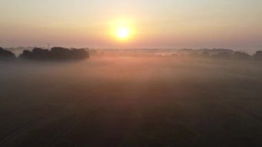 Şehir manzarasının dışında güzel bir yaz sabahı