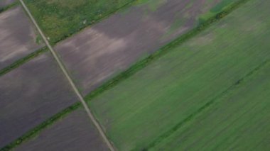 Şehir manzarasının dışında güzel bir yaz sabahı