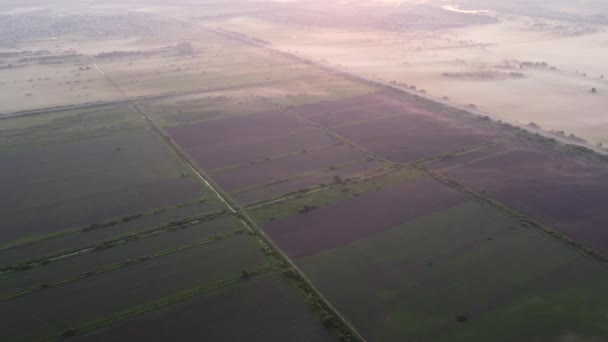 Linda Manhã Verão Fora Vista Superior Cidade — Vídeo de Stock