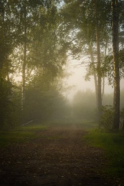 Şehrin dışında harika bir sonbahar sabahı