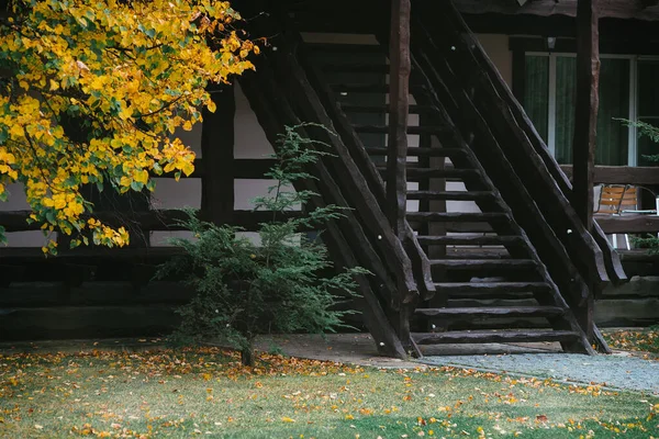 Şehrin dışında harika bir sonbahar sabahı
