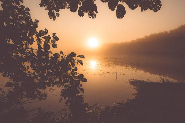 Şehrin Dışında Harika Bir Sonbahar Sabahı — Stok fotoğraf