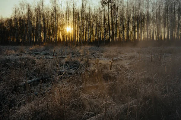 Прекрасное Осеннее Утро Городом — стоковое фото