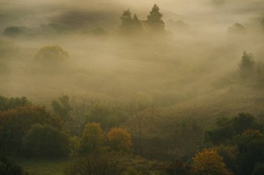 Şehrin dışında güzel bir sonbahar sabahı