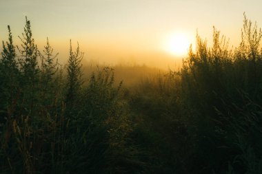 Şehrin dışında güzel bir sonbahar sabahı