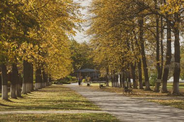 Şehrin dışında güzel bir sonbahar sabahı