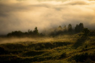 Şehrin dışında güzel bir sonbahar sabahı
