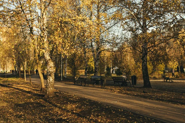街の外の美しい秋の朝 — ストック写真