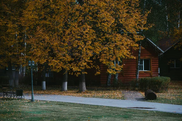 Une Belle Matinée Automne Dehors Ville — Photo