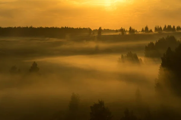 Ein Schöner Herbstmorgen Außerhalb Der Stadt — Stockfoto