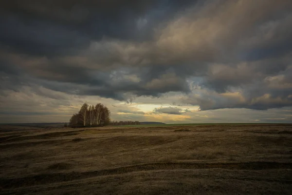 Een Prachtige Herfstochtend Buiten Stad — Stockfoto