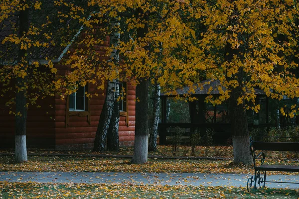 Ein Schöner Herbstmorgen Außerhalb Der Stadt — Stockfoto