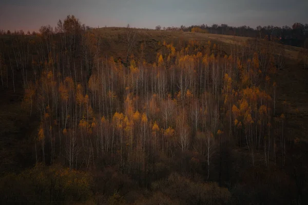 Прекрасное Осеннее Утро Городом — стоковое фото