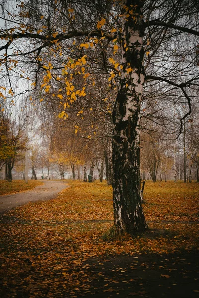 Прекрасное Осеннее Утро Городом — стоковое фото