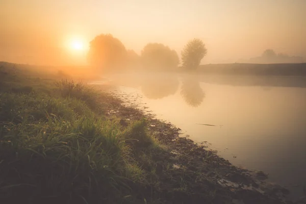 Vacker Morgon Utanför Staden Beundrar Utsikten — Stockfoto