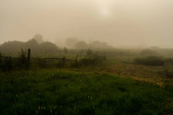 Beautiful Foggy Morning City — Stock Photo, Image