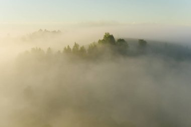 Şehir manzarasının dışında güzel bir yaz sabahı