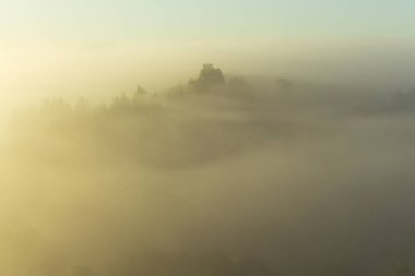 Şehir manzarasının dışında güzel bir yaz sabahı