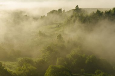 Şehir manzarasının dışında güzel bir yaz sabahı