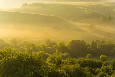 Şehir dışında harika bir yaz sabahı