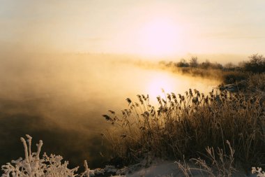 Şehrin dışında güzel bir sabah