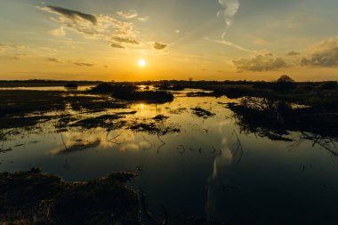 Şehir manzarasının dışında güzel bir yaz sabahı