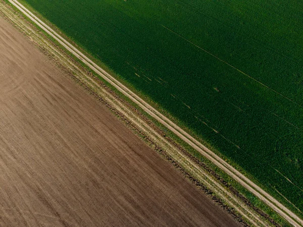 Une Merveilleuse Matinée Été Dehors Ville — Photo