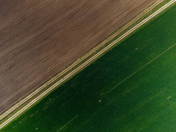 Une Merveilleuse Matinée Été Dehors Ville — Photo