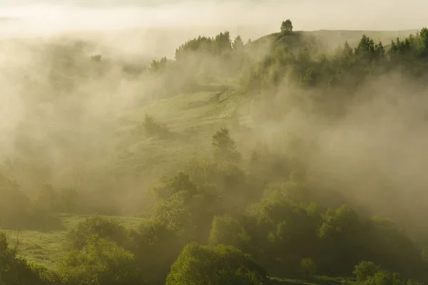 Belle Matinée Été Dehors Ville Vue Dessus — Photo