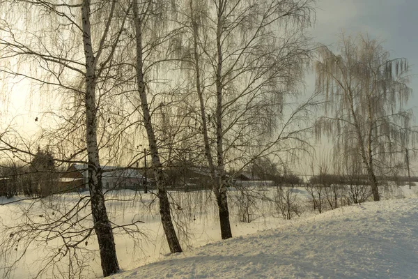 Una Gelida Mattina Inverno Fuori Città — Foto Stock