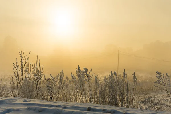 Uma Manhã Gelada Inverno Fora Cidade — Fotografia de Stock