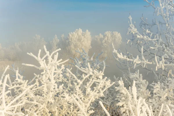 Frostig Vintermorgon Utanför Staden — Stockfoto