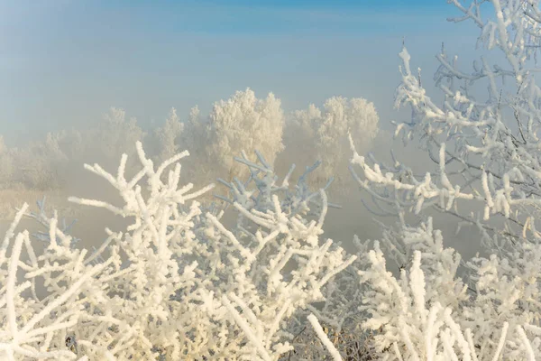 Een Ijzige Winterochtend Buiten Stad — Stockfoto