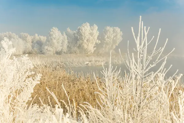 Een Ijzige Winterochtend Buiten Stad — Stockfoto